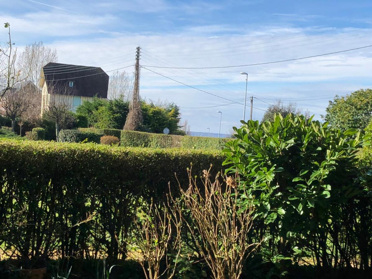 Studio En Rez De Jardin -"Le Petit Nid" A Trouville Экстерьер фото